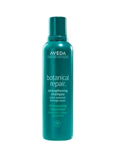 Shop with us Botanical Repair Shampoo